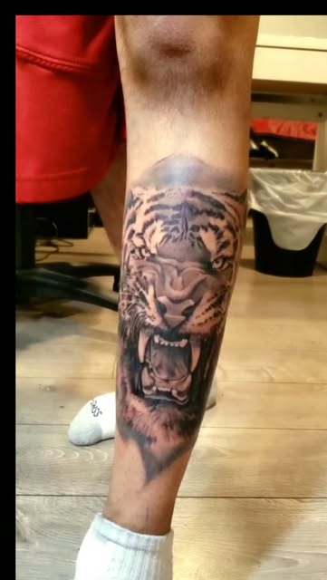 Tiger calf piece. Realism tiger, healed.