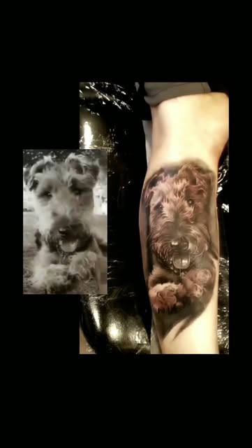 Dog portrait. Pet portrait, shown next to the reference photo.